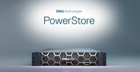 DELL EMC PowerStore 1000T BASE ENC. FLD INST