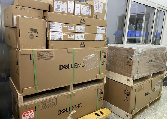 Ámbito DD9900 720TB de los datos del EMEA de PowerProtect